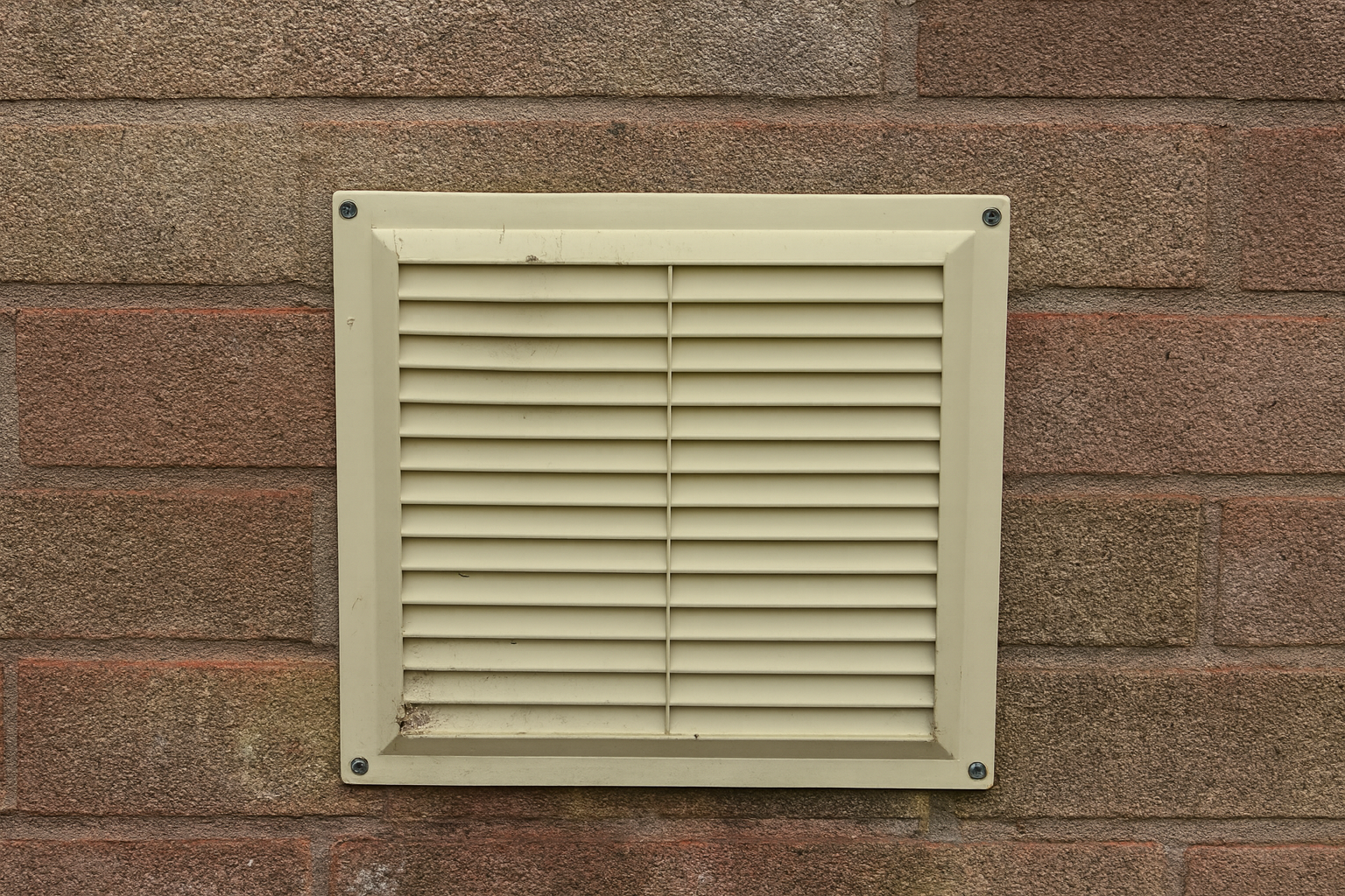 a beige colored squa